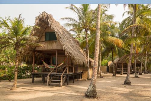 a resort with hammocks and palm trees at Reserva Natural El Matuy in Palomino