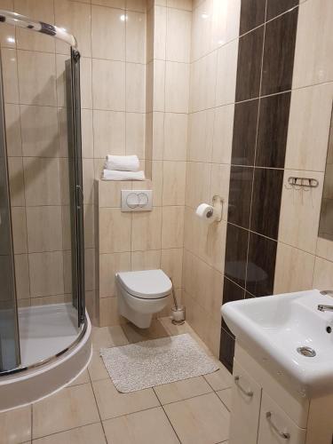 a bathroom with a shower and a toilet and a sink at Pokoje Bakos Radocza in Radocza