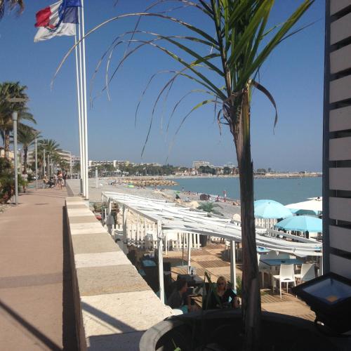 - une plage avec un palmier à côté d'un bâtiment dans l'établissement Le Cros de Cagnes, à Cagnes-sur-Mer