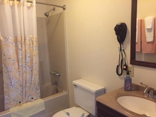a bathroom with a toilet and a sink and a shower at Milford Motel On the River in Milford
