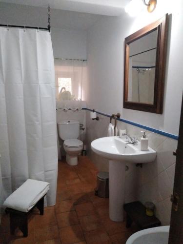 a bathroom with a sink and a toilet and a mirror at Casa Rural Donatila in Villasbuenas de Gata