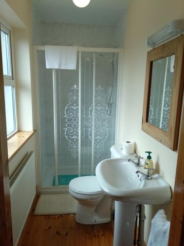 a bathroom with a shower and a toilet and a sink at Townhouse 4 Barrow Lane in Carlow