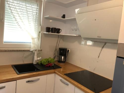 Η κουζίνα ή μικρή κουζίνα στο Apartmani Učka