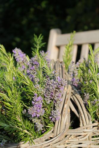 a basket of purple flowers on a white bench at La Saracina in Pienza