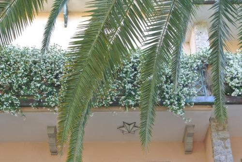 a building with flowering plants on the ceiling at Hotel Mignon in Forte dei Marmi