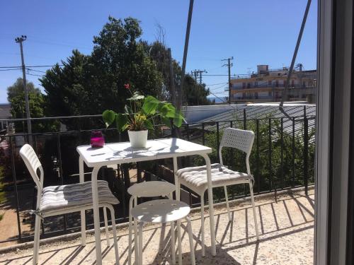PELAGIC Apartments near the Airport