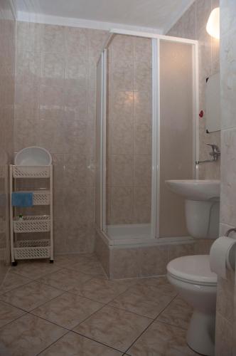 a bathroom with a shower and a toilet and a sink at APARTAMENT i pokoje Aura Dom Wczasowy in Darlowko