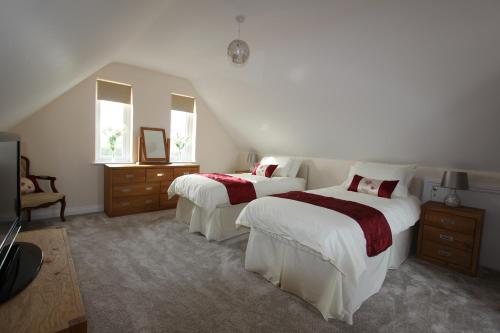 a bedroom with two beds and a mirror at Glenside Cottage with Hot Tub in Solva