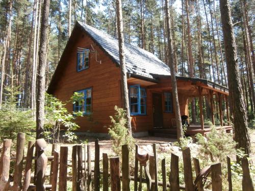 eine kleine Holzhütte im Wald in der Unterkunft Lesna Polana in Augustów