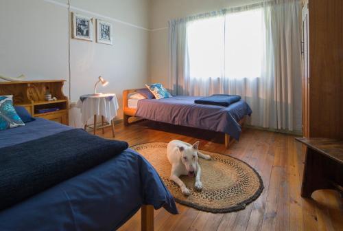 a dog laying on a rug in a room with two beds at Assegai Rest in Robertson
