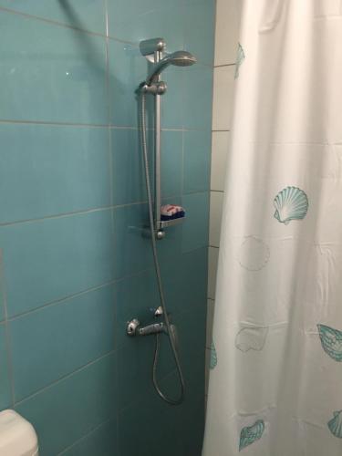 La salle de bains est pourvue d'une douche avec rideau de douche. dans l'établissement Bella Vista, à Ankaran