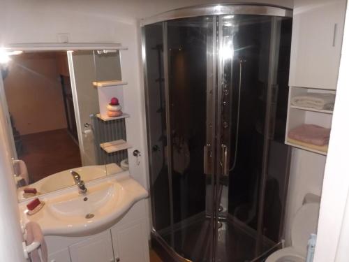 a bathroom with a shower and a sink at Gite Saint CLAIR - Escapade à Signes in Signes