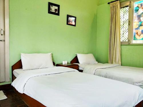 two beds in a room with green walls at 行者之家SUNFLOWER in Lumbini