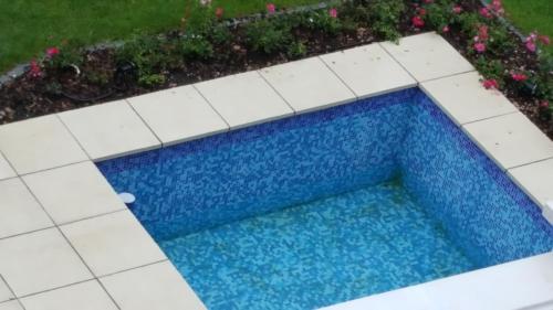 una vista sul tetto di una piscina con fiori di holidayhome Heidelberg a Heidelberg