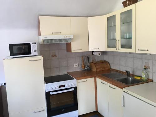 eine Küche mit einem weißen Kühlschrank und einer Spüle in der Unterkunft Apartment Rose in Jesenice