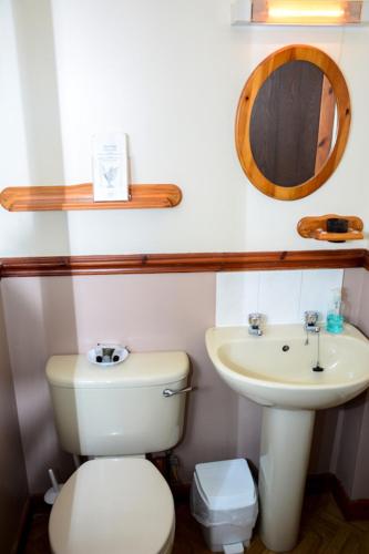 a bathroom with a toilet and a sink at Clarke Cottage Guest House in Dunfermline