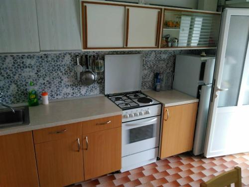 a kitchen with a stove and a refrigerator at Sunny Apartment Octopus in Prožura