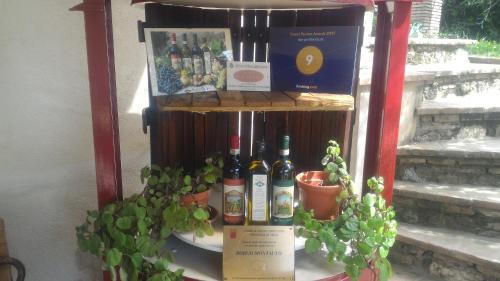 a display of wine bottles on a shelf with plants at Borgo Montauto in San Gimignano