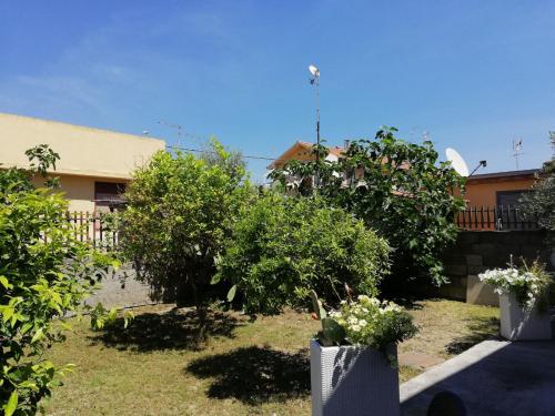 a yard with some bushes and trees and a building at Aeroporto Bellini Rooms in Catania