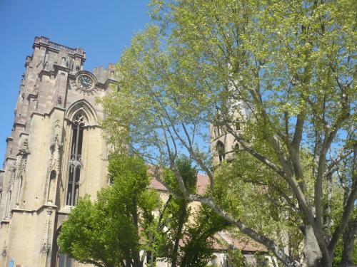 an old church with a clock tower and trees at Gite En Alsace in Rouffach