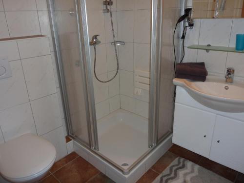 uma casa de banho com um chuveiro, um WC e um lavatório. em Haus Rigl em Schladming
