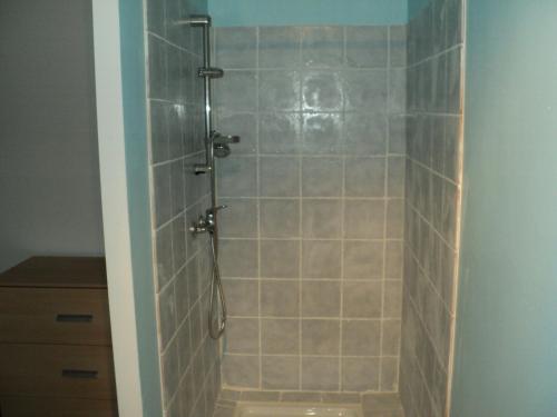 La salle de bains est pourvue d'une douche et de murs carrelés. dans l'établissement Le Gîte du Clos Boisé, à Théziers