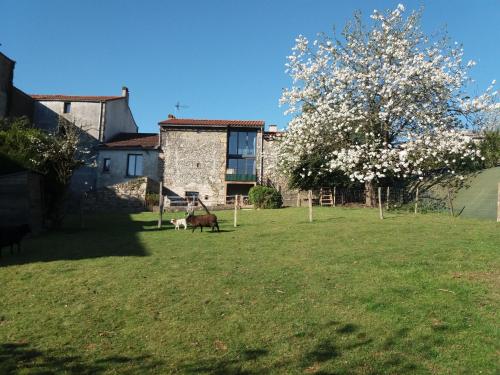 un pâturage de vaches dans une cour devant une maison dans l'établissement Maison de Vacances, à Châteaumur