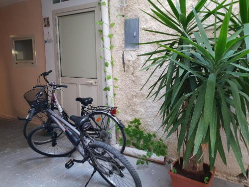 Jazda na bicykli v okolí ubytovania Room Calafatari