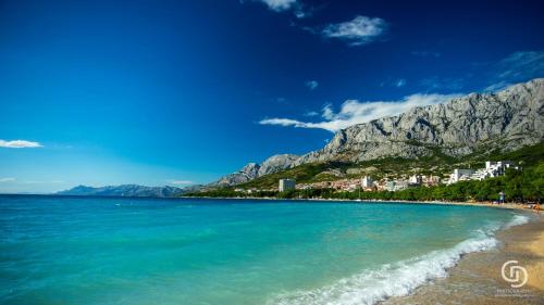 vistas a una playa con una montaña en el fondo en Apartments Kurtic, en Makarska