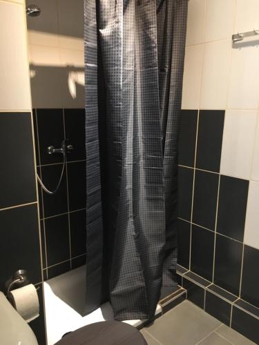 a shower curtain in a bathroom with a toilet at Le gîte du faubourg in Sautour