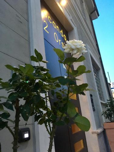 a white rose sitting in front of a building at Locanda Ai Due Orsi in Milan