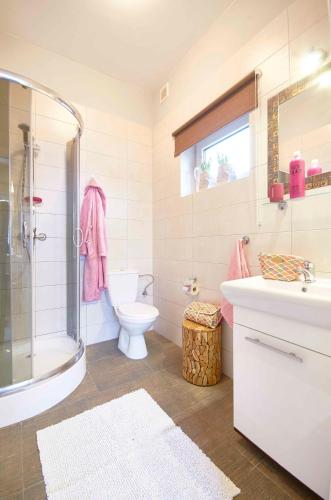 a bathroom with a toilet and a sink and a shower at Arenda Apartamenty&Domki całoroczne in Sieraków