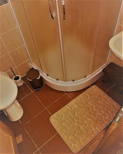 Un baño con ducha, inodoro y lavabo. en Tarski dom, en Zaovine