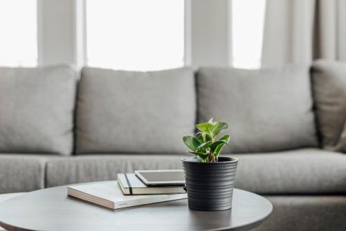 a table with a potted plant and books on it at Entourage sur-le-Lac in Lac-Beauport