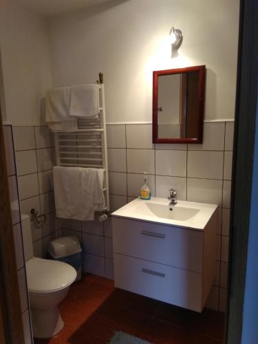 a bathroom with a sink and a toilet and a mirror at Gosciniec Wydminy in Wydminy