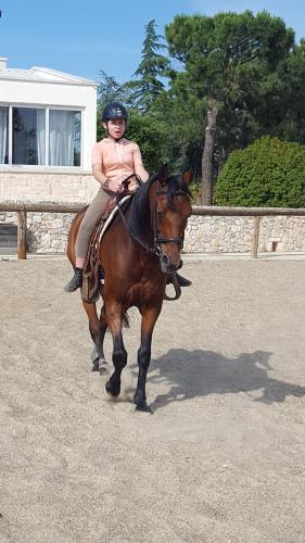 a woman is riding on a brown horse at B&B La Grave in Noci