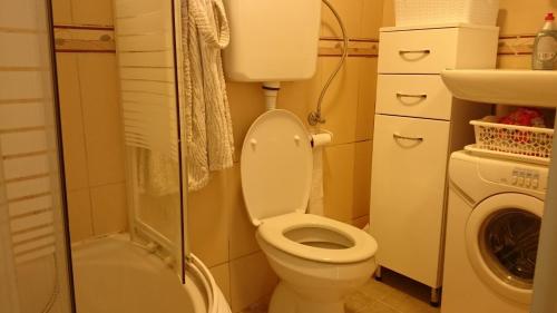 een kleine badkamer met een toilet en een douche bij BG apartman in Sutomore