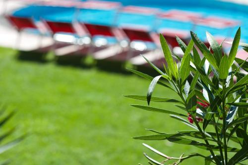 a green plant in front of a group of american flags at Business Resort Parkhotel Werth in Bolzano