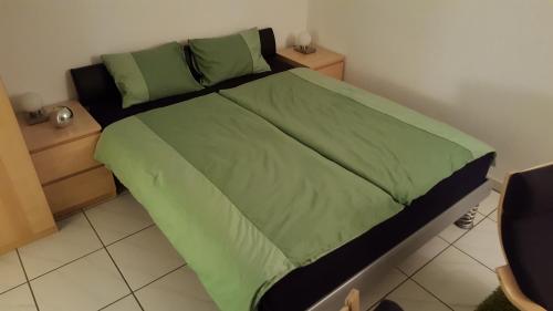 Bett mit grüner Decke in einem Schlafzimmer in der Unterkunft Ferienwohnung mit Sicht auf die Berge (Nähe Flims/Laax) in Trin
