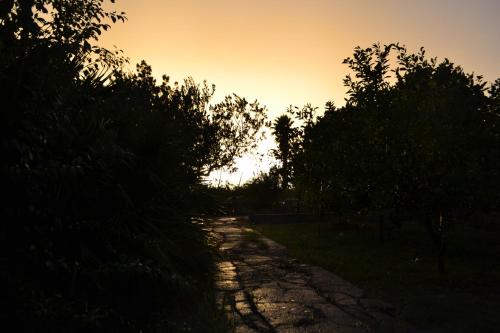 a dirt road with trees and the sunset in the background at B&B Terre dì Montecoco in San Pancrazio Salentino