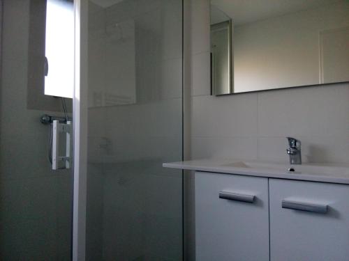 ein Bad mit einem Waschbecken, einem Spiegel und einer Dusche in der Unterkunft Boizen in Saint-Jean-de-Boiseau