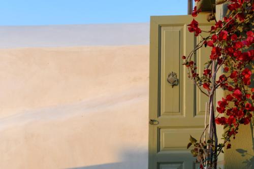 a green door with red flowers next to a wall at Phaos 1870, A restored Winery in Pirgos