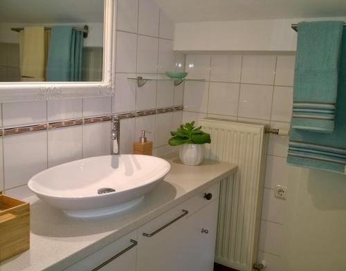 a bathroom with a white sink and a mirror at Appartement Kohlnberger in Waidhofen an der Ybbs