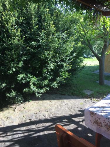 Andre & Moni 8313 Balatongyörök, 24 Üsth Gyula utca kép - 3