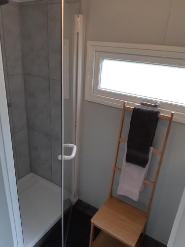 eine Dusche mit Glastür und Handtuchhalter in der Unterkunft Chalet Hoenderloo Den in Hoenderloo