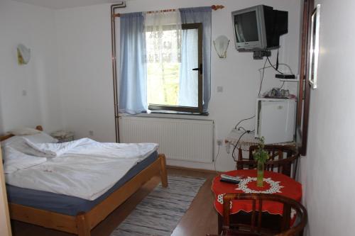 a bedroom with a bed and a tv and a table at Guest House 3M in Kaludjerske Bare