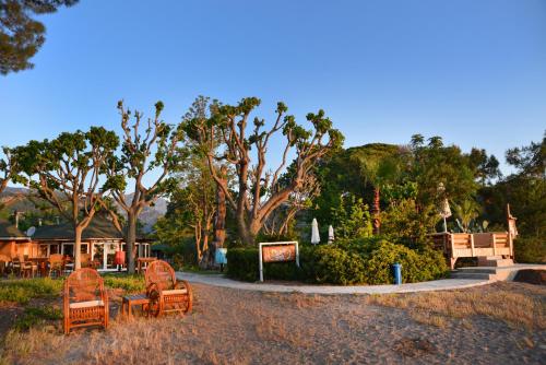 Fotografie z fotogalerie ubytování Arcadia Hotel v destinaci Çıralı