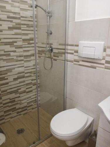 a bathroom with a toilet and a glass shower at Il viandante in Sulmona