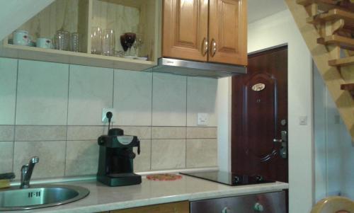 een keuken met een wastafel en een koffiezetapparaat op het aanrecht bij Apartman Joca Zlatibor in Zlatibor