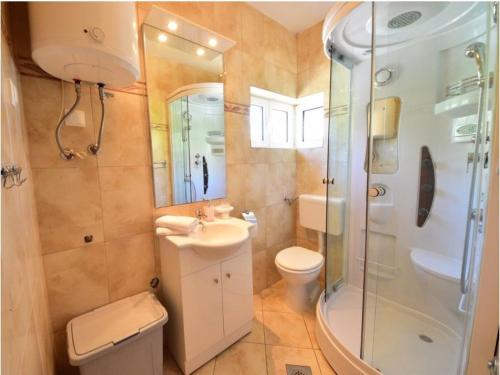 a bathroom with a sink toilet and a shower at Apartments Golub in Cesarica